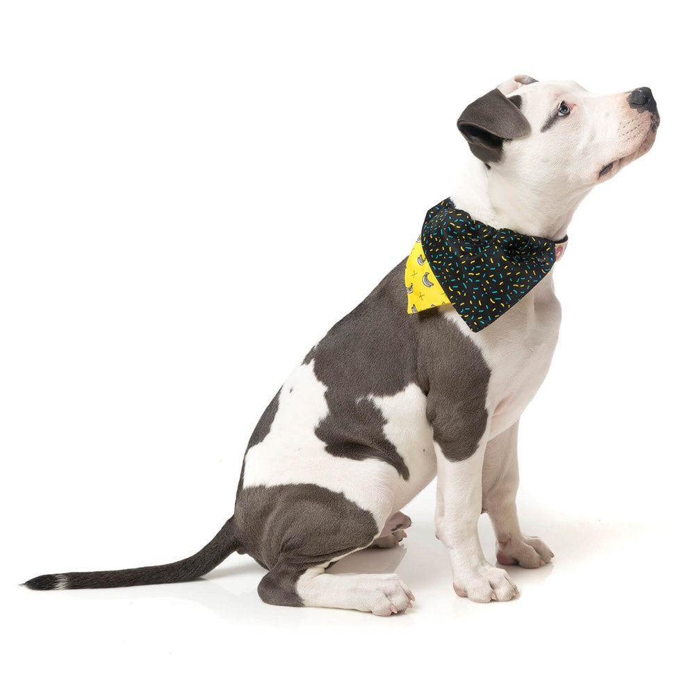 FuzzYard Monkey Mania Pet Bandana (Medium/Large) (discontinued)