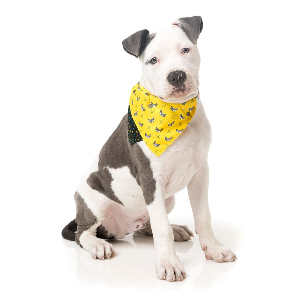 FuzzYard Monkey Mania Pet Bandana (Medium/Large) (discontinued)