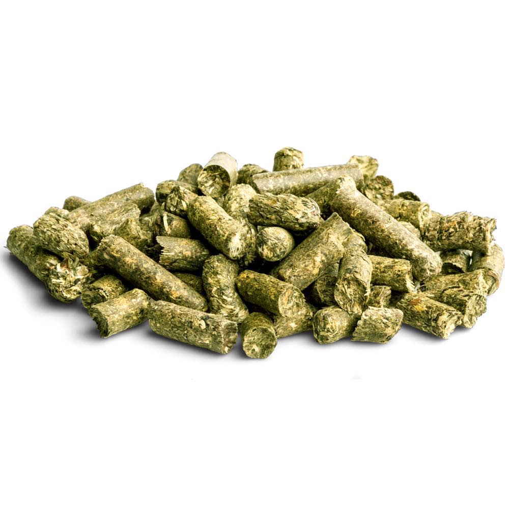 Bunny Nature Allg?u Fresh Green Snack With Dandelion Small Animal Treats 450g