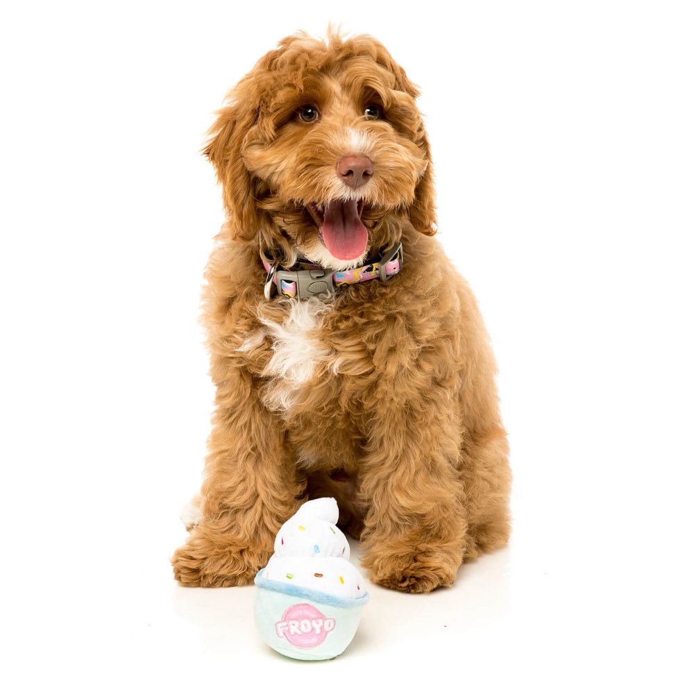 FuzzYard Froyo Plush Dog Toy (discontinued)