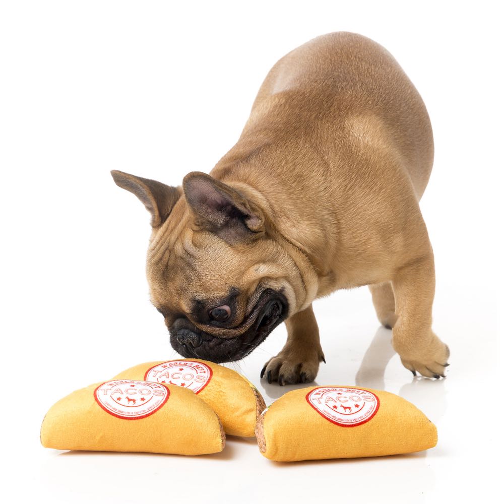 FuzzYard Taco Plush Dog Toy