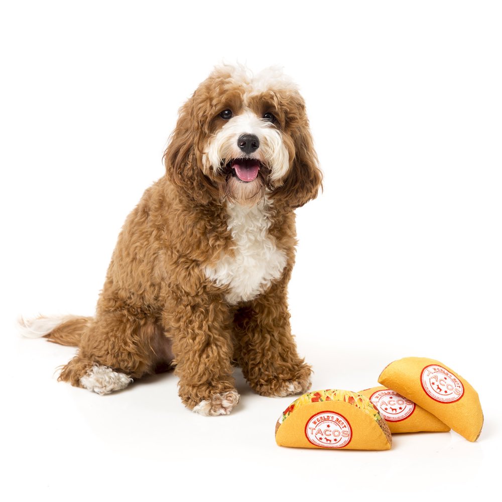 FuzzYard Taco Plush Dog Toy